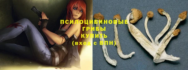 шишки Михайловск