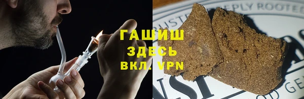 шишки Михайловск