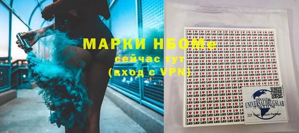 шишки Михайловск