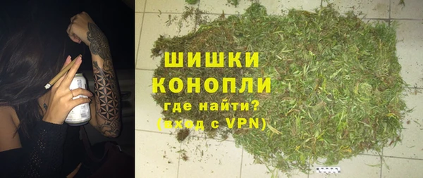 гидропоника Гусиноозёрск