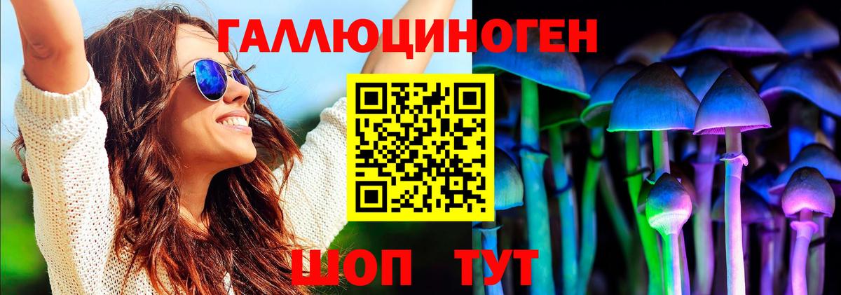 Карасук  купить наркотики сайты  Вход с VPN  Псилоцибиновые грибы мицелий 